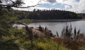 Excursión Senderismo Badonviller - Tour du lac de Pierre-Percée depuis les cabanes du lac - Photo 16