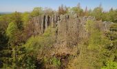 Tocht Te voet Poppenhausen - Maulkuppe - Rhönrundweg 14 - Photo 3