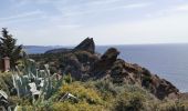 Tocht Stappen La Ciotat - La Ciotat - Photo 11