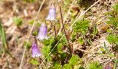 Randonnée A pied Zernez - Flüela-Chant Sura - Photo 10