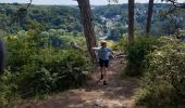 Trail Walking Namur - MLD  Bonnine - Photo 3