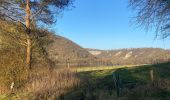 Tour Wandern Dinant - Freyir par randonnée 25  - Photo 3