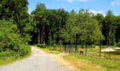Trail Walking Saint-Crépin-aux-Bois - en forêt de Laigue_3_07_2019_La Malmère_Les Croisettes_Monts du Rond Buisson et des Châtillons - Photo 11