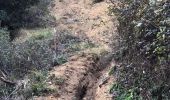 Excursión Senderismo Tanneron - Massif du Tanneron - Bois de Callian - Photo 1