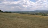 Randonnée Marche Beure - mercureau - fontain - arguel - Photo 10