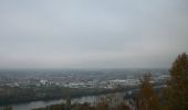 Trail Walking Belbeuf - 20221112-St Adrien - Photo 12