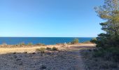 Trail Walking Leucate - plateau leucate - sud est  - Photo 19