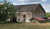 Trail Horseback riding Fougerolles-Saint-Valbert - Vers fontaine des larrons 9kms - Photo 6