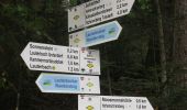 Trail On foot Schramberg - Schramberg - Rotwasser - Photo 2