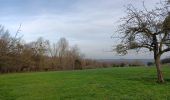 Trail Walking Liège - tourniquet au sart-tilman  - Photo 13