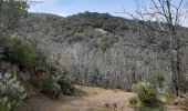 Tour Wandern Maureillas-las-Illas - dolmen de la Siureda via tour Bel Ull - Photo 7