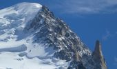 Tocht Stappen Chamonix-Mont-Blanc - TRK000 - Photo 8