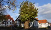 Tour Zu Fuß Berkatal - Premiumweg P2 Frankershäuser Karst - Photo 6