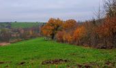 Randonnée Marche Ham-sur-Heure-Nalinnes - Balade à Cours-sur-Heure - Photo 3