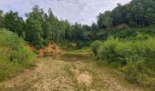 Trail Walking Braine-le-Comte - la Sablière du bois - Photo 3