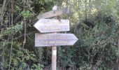 Randonnée A pied Langon - Les Gabares : circuit départemental - Photo 7