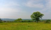 Trail Walking Durbuy - Petit-Han ... l Trail Walking Durbuy - Petit-Han ... l
