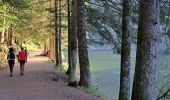 Excursión Senderismo La Bresse - VOSGES 2023 - Jour 1 - Le Lac aux Corbeaux - Photo 5