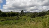 Excursión Senderismo Le Lorrain -  la crabière en boucle  - Photo 17