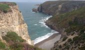 Excursión Senderismo Plévenon - Cap Fréhel et Fort la Latte 5.7.23 - Photo 8