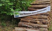 Randonnée Marche Douaumont-Vaux - La route des hommes 2020 - Photo 7
