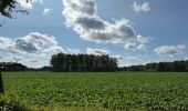 Tour Wandern Zonhoven - Wijvenheijde Zonhoven 14,3 km - Photo 6