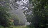 Tour Wandern Curières - Le Devez cascade et forêts  - Photo 12