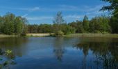 Tour Zu Fuß Märkische Heide - Wanderweg Schlepzig-Dürrenhofe (grüner Balken) - Photo 3