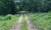 Tocht Paardrijden Habay - Forêt de Rulles - Photo 16