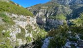 Trail Walking Aiguines - La Maline-Imbut-Vidal - Photo 4