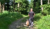 Tour Wandern Martelingen - Club canin chestrolais juin 2019 - Photo 7