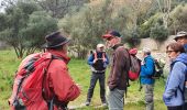 Excursión Senderismo Ollioules - destel - Photo 16