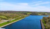 Tocht Stappen Froidchapelle - La balade du grand cerf aux lacs de l’eau d’heure  - Photo 1