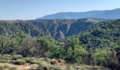 Trail Walking Prévenchères - Gorges du Chassezac au départ de la Garde guérin  - Photo 18