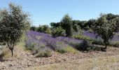 Trail Walking Taulignan - Taulignan chemin de la soie 4km - Photo 3