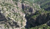 Trail Walking Villefort - Lac Villefort la Garde Guerin, lac de Villefort.(31-05-2020) - Photo 10