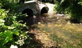 Tour Wandern Plédran - En suivant l'URNE et en passant par le BOIS. - Photo 6