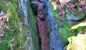 Tour Zu Fuß Diekirch - Fleche Bleu Diekirch II (ancien) - Photo 2