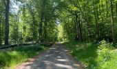 Percorso Marcia Compiègne - en Forêt de Compiègne_50_les Routes des Beaux Monts, de Morpigny et des Nymphes - Photo 19