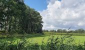 Tour Zu Fuß Vught - Ommetje Cromvoirt - Photo 2