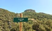 Excursión Senderismo Gigondas - Les Florets Lencieux Pas de l'Aigle - Photo 3