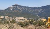 Excursión Senderismo Marignac-en-Diois - la montagne de Desses - Photo 8