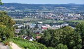 Tocht Te voet Regensberg - Regensberg Bus - Niederwenigen Dorf - Photo 7