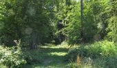 Randonnée Marche Oigny-en-Valois - en forêt de Retz_81_vers les étangs de Bourcq et sur le GR11 - Photo 2