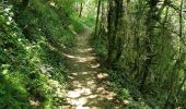 Trail Walking Saou - Petit et Grand Pomerolles - Forêt de Saoù - Photo 4