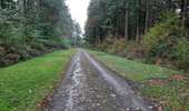 Trail Walking Toulon-sur-Arroux - RANDO_La_Croix_Des_Autrichiens - Photo 3