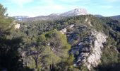 Excursión Senderismo Le Tholonet - Barrage Zola à partir du Tholonet - Photo 1