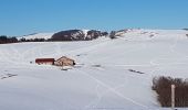 Tour Wandern Lepuix - Malvaux - Wissgrut - Photo 8