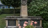 Randonnée A pied Lichtenfels - Rundwanderweg Aussichtsturm-Köstner Gründla - Photo 1