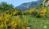 Trail Walking Castellar - Castellane - roc d'Ormea - Photo 6